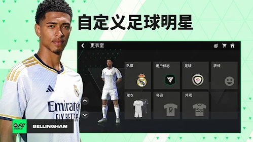 FC Mobile手机中文正版下载-FC Mobile游戏下载v.1.70